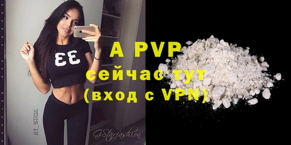 apvp Корсаков