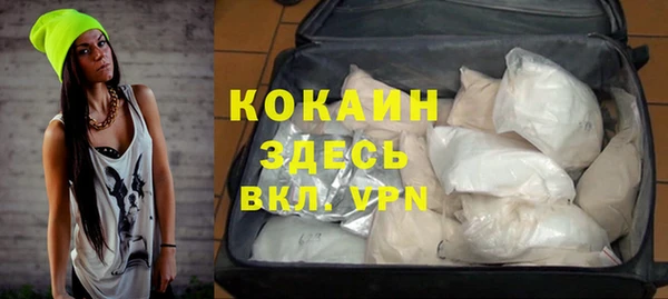 дживик Костерёво