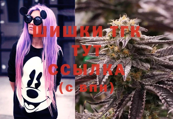 mix Козельск