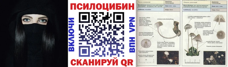 Галлюциногенные грибы MAGIC MUSHROOMS  Купить закладки  Палласовка 